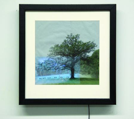 Click the image for a view of: The Great Oak. 2009. giclee print, LCD with video. edtion 3. 495 x 495 x 50mm