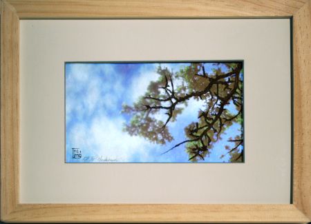 Click the image for a view of: Underbrush. 2009. etching, sugarlift, LCD with video & machinima. edition 5. 280 x 255mm