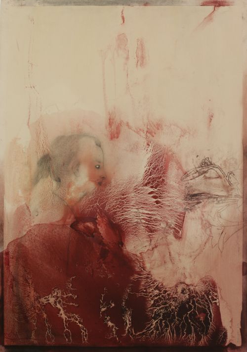Click the image for a view of: Terry Kurgan. Untitled (spreads). 2011. charcoal, pencil, red oxide, oil on Fabriano paper primed with rabbit-skin glue. 1000X700mm