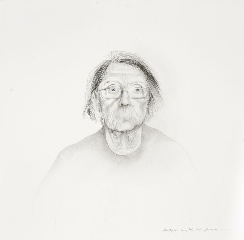 Click the image for a view of: Mouthpiece. Saying No. 2011. Pencil and coloured pencil on paper. 780X745mm