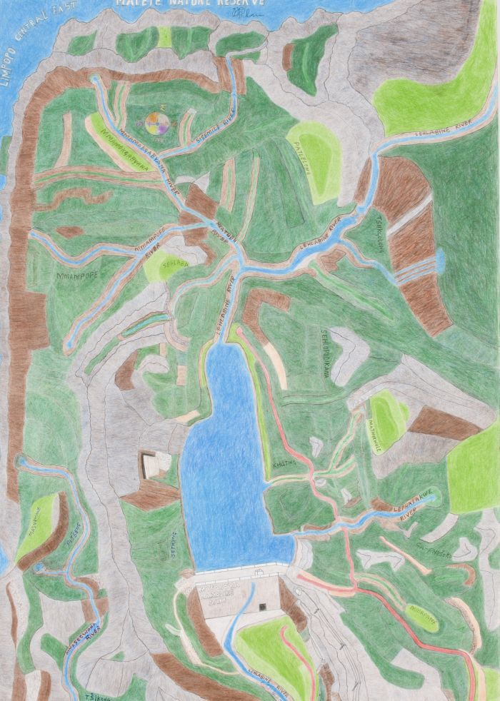 Click the image for a view of: John Phalane.Malete Nature Reserve. Colour pencil,  ballpoint pen on paper. 860X610mm