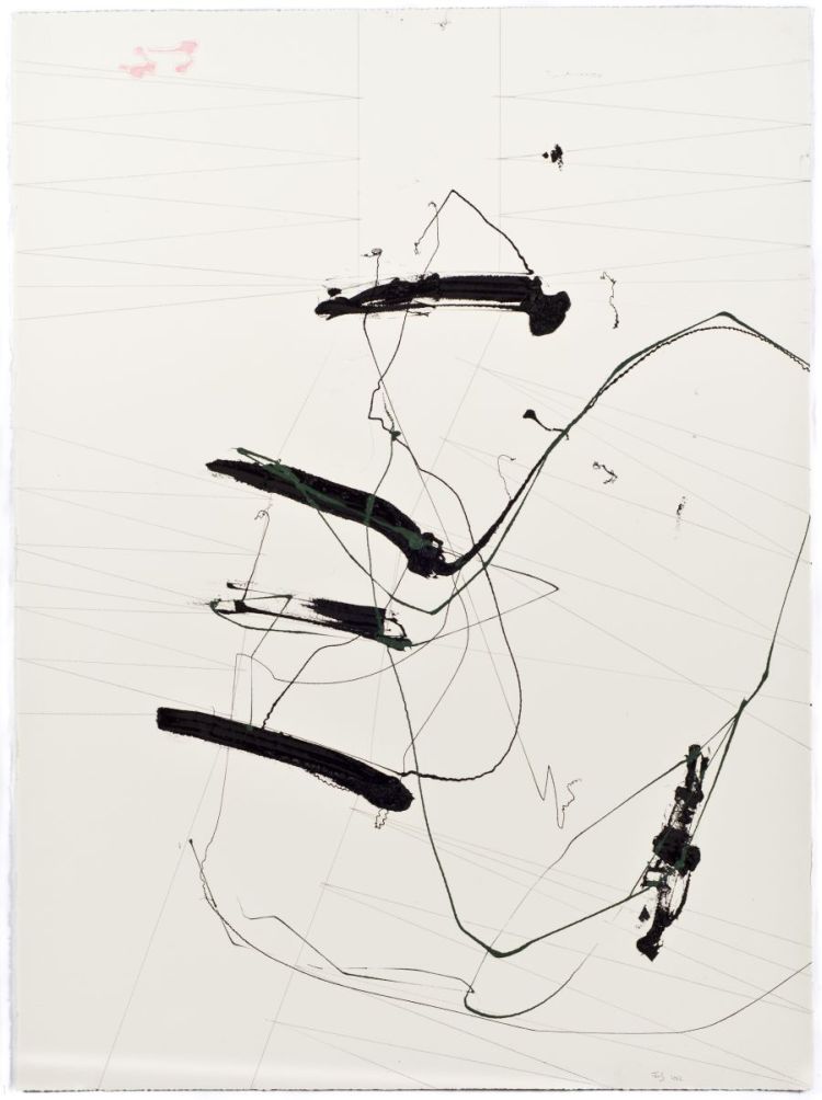 Click the image for a view of: Jaco van Schalkwyk. FUN AND GAMESWhistle. 2012. Lithographic ink, pencil on paper. 760X560mm